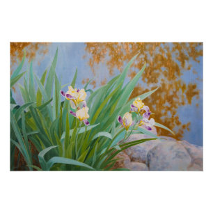 Yellow and Purple Irises with Golden Light Poster