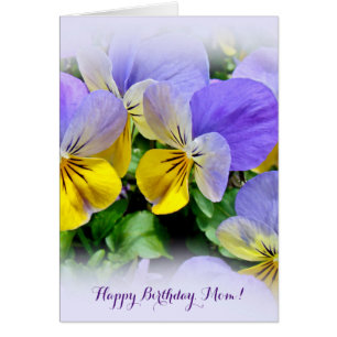 Yellow and Purple Pansies