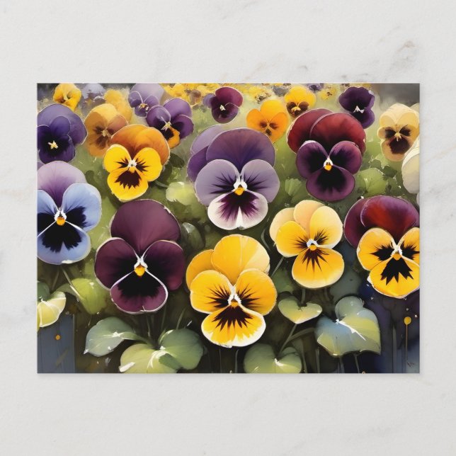 Yellow and purple pansies watercolor painting postcard (Front)