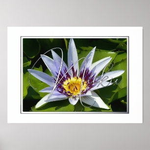 Yellow and Purple Water Lily Foil Text Foil Prints