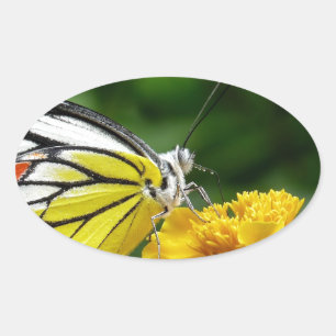 Yellow and Red Butterfly on Yellow Flower Oval Sticker