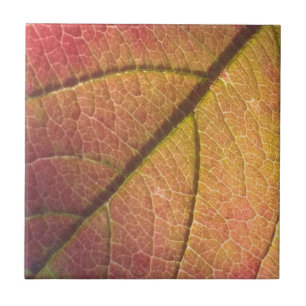 Yellow And Red Fall Leaf Tile