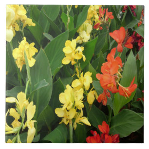 Yellow and Red Flowers Tile