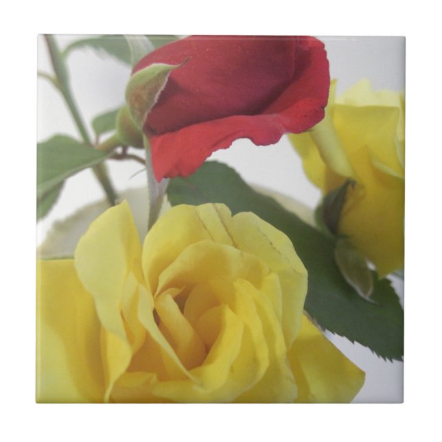 Yellow and Red Roses Tile (Front)