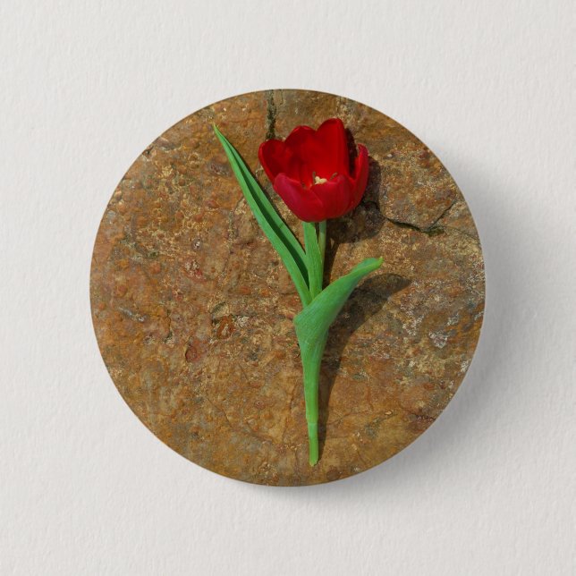yellow and Red Tulip 2 Inch Round Button (Front)