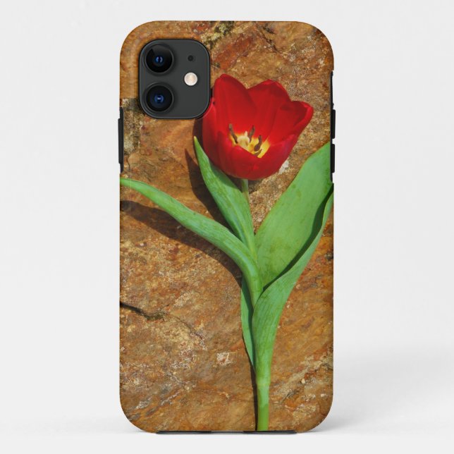 Yellow and Red Tulip Case-Mate iPhone Case (Back)