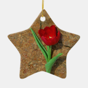 yellow and Red Tulip Ceramic Ornament