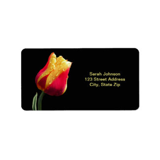 Yellow And Red Tulip Label