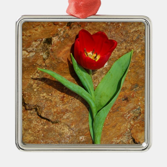 Yellow and Red Tulip Metal Ornament (Front)
