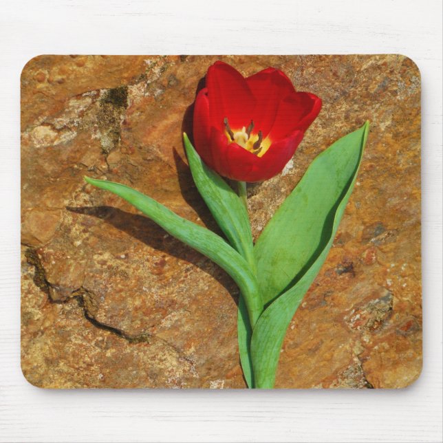 Yellow and Red Tulip Mouse Pad (Front)