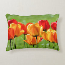 Yellow And Red Tulips