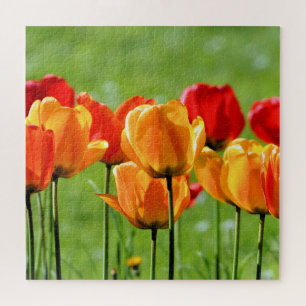 Yellow And Red Tulips Jigsaw Puzzle