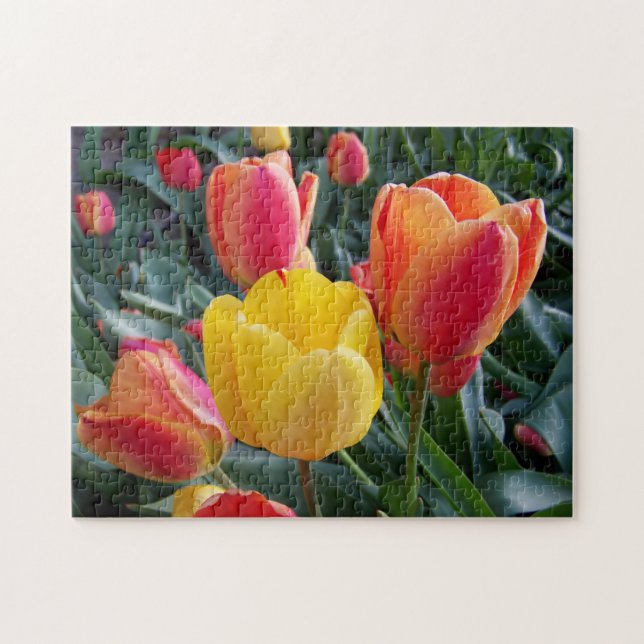 Yellow and Red Tulips Rock Garden Photo Jigsaw Puzzle (Horizontal)