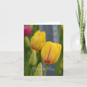 Yellow and Red Tulips Thank You Card