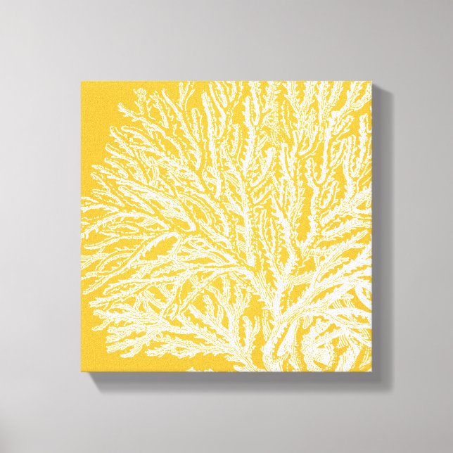 Yellow and White Coral Canvas Print (Front)