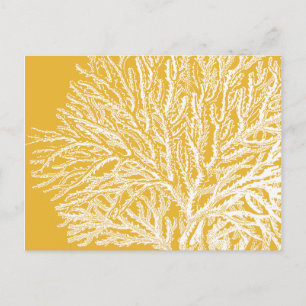 Yellow and White Coral Postcard