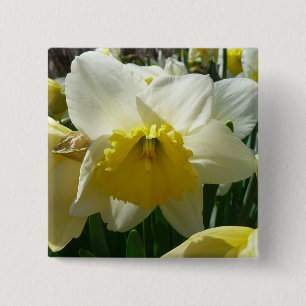 Yellow and White Daffodil Spring Floral 2 Inch Square Button