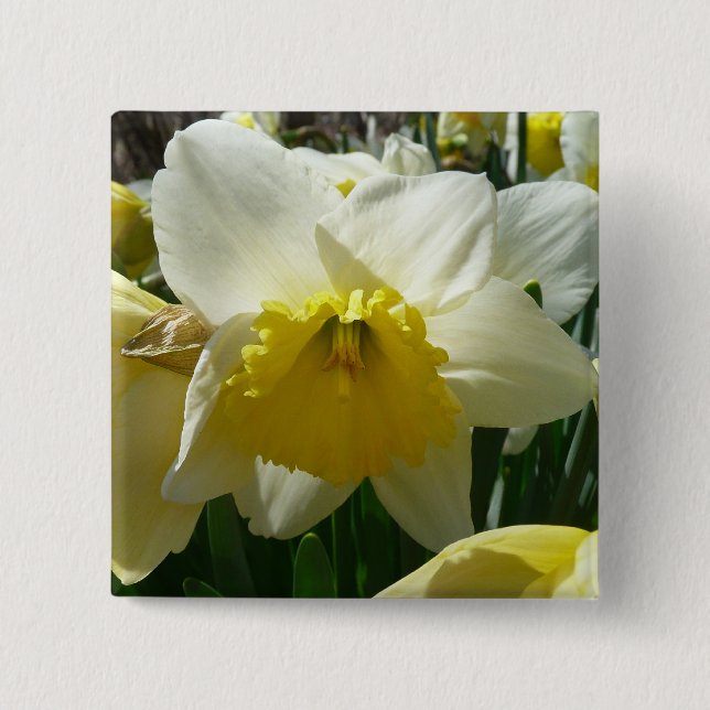 Yellow and White Daffodil Spring Floral 2 Inch Square Button (Front)