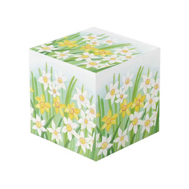 Yellow and White Daffodils in Spring   Cube (Front Angled)