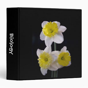 Yellow and White Daffodils on Black Binder