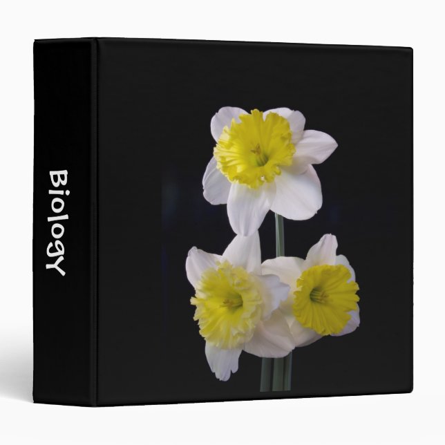 Yellow and White Daffodils on Black Binder (Front/Spine)