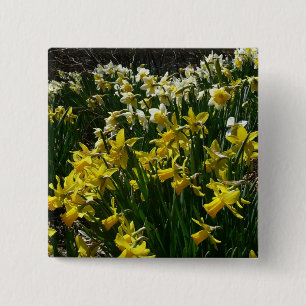 Yellow and White Daffodils Spring Flowers 2 Inch Square Button
