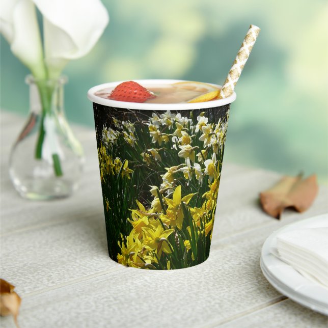 Yellow and White Daffodils Spring Flowers Paper Cups (Insitu)