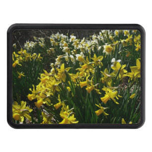 Yellow and White Daffodils Spring Flowers Trailer Hitch Cover