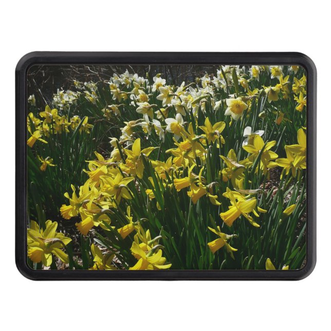 Yellow and White Daffodils Spring Flowers Trailer Hitch Cover (Front)
