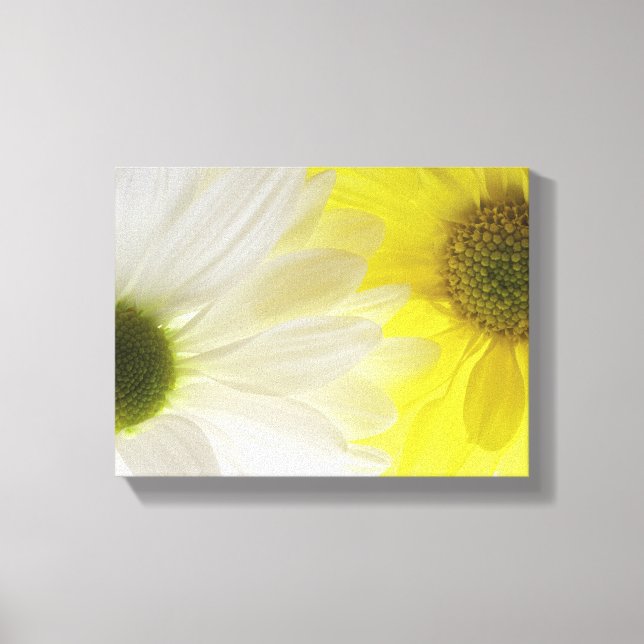 Yellow and White Daisies Canvas Print (Front)