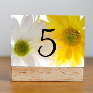 Yellow and White Daisies Table Numbers