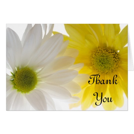 Yellow and White Daisies Thank You Card