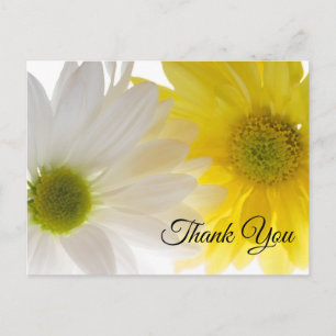 Yellow and White Daisies Thank You Postcard