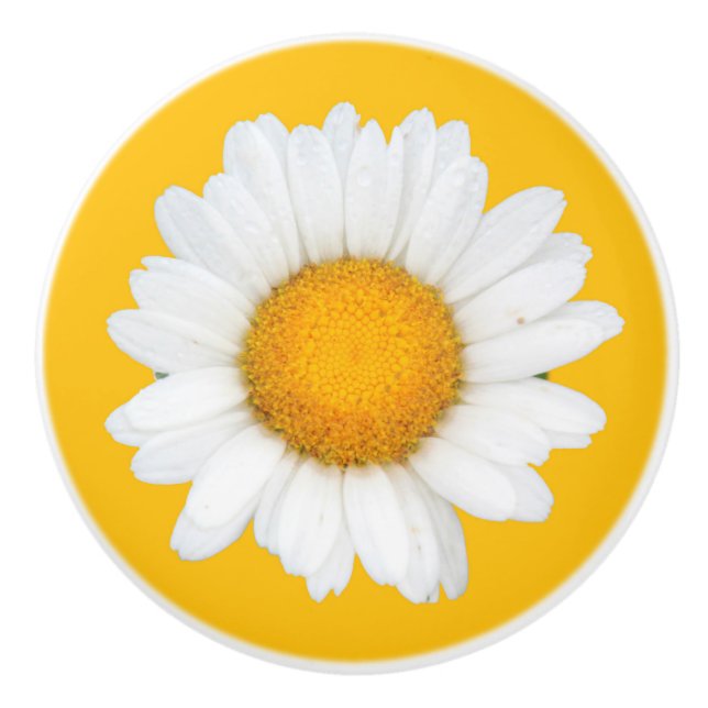 Yellow and white daisy ceramic knob (Front)