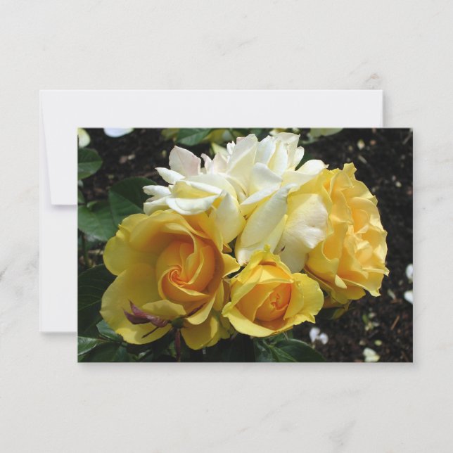 Yellow and White Roses Thank You Card (Front)