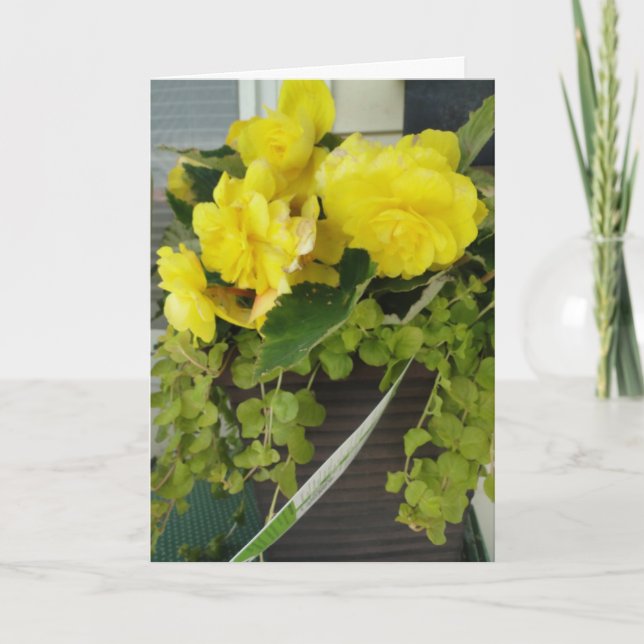 Yellow Angel Wing Begonias, Thinking Of You Card (Front)