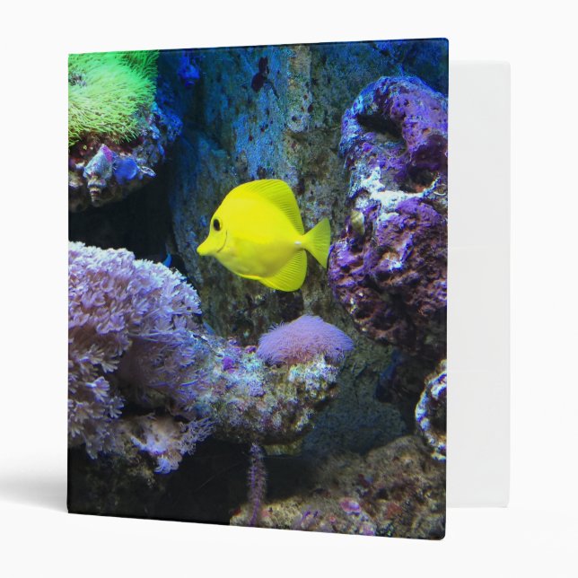 Yellow Angelfish Binder (Front/Inside)