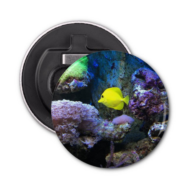 Yellow Angelfish Bottle Opener (Front)