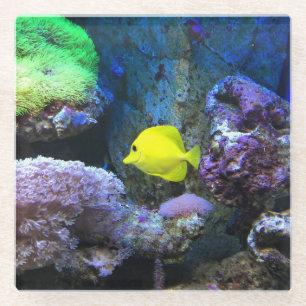 Yellow Angelfish Glass Coaster