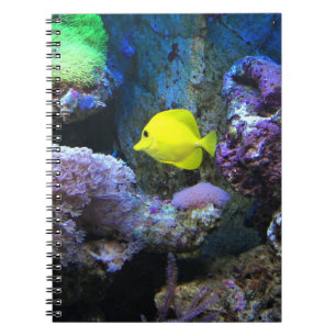Yellow Angelfish Notebook