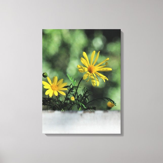 Yellow Aster Wildflowers Canvas Print (Front)