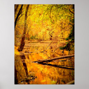 Yellow Autumn Forest Print Poster Artwork Mural