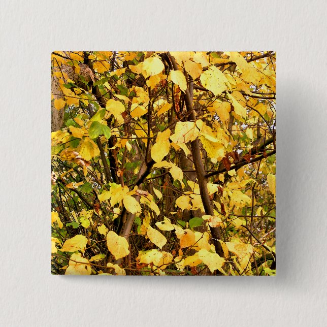 YELLOW AUTUMN LEAVES 2 INCH SQUARE BUTTON (Front)