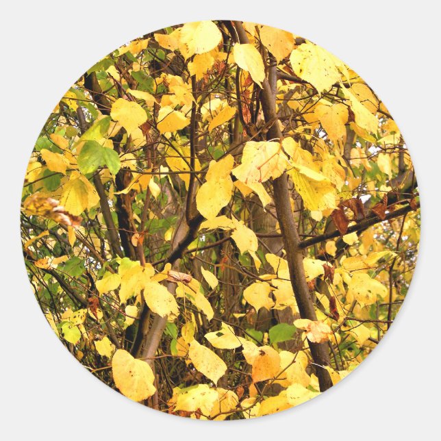 YELLOW AUTUMN LEAVES CLASSIC ROUND STICKER (Front)