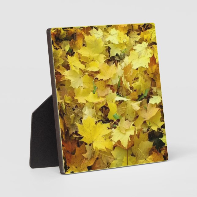Yellow Autumn Leaves Plaque (Front)