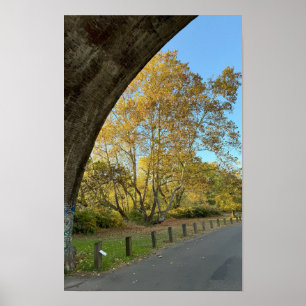 Yellow Autumn Trees Poster