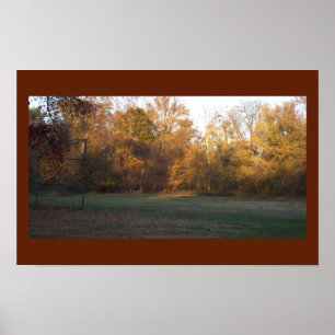 Yellow Autumn Trees Poster