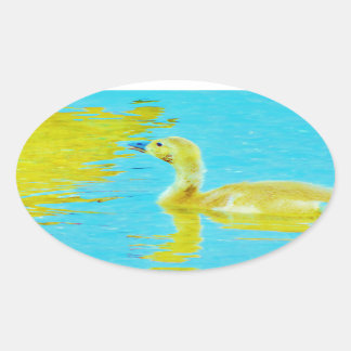 Yellow Baby goose with light blue water Oval Sticker