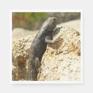 Yellow-Backed Spiny Lizard at Joshua Tree Napkin