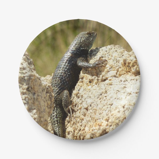 Yellow-Backed Spiny Lizard at Joshua Tree Paper Plate (Front)